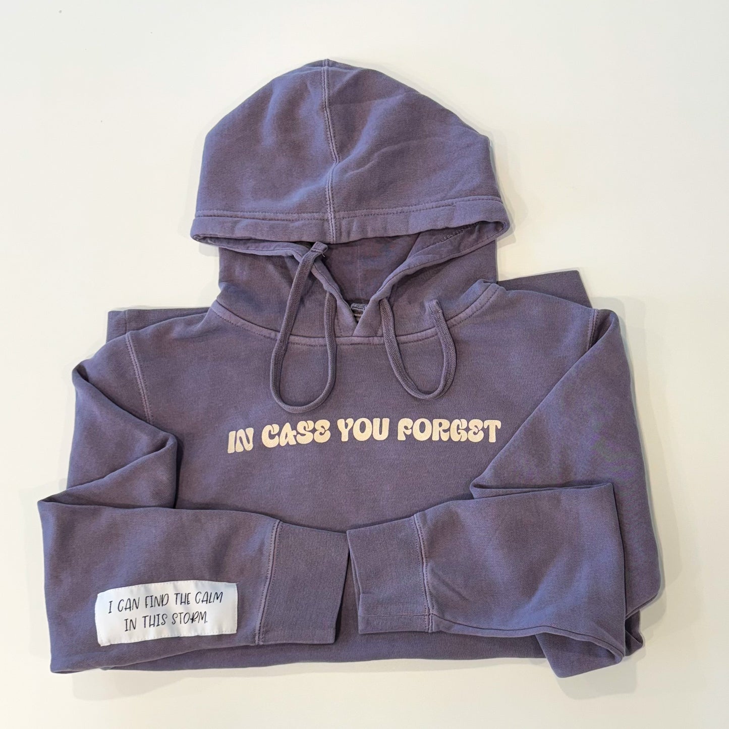 In Case You Forget Affirmation Hoodie